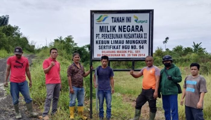 Pertahankan HGU Limau Mungkur, PTPN2 Akan Okupasi Lahan 112 Ha