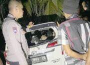 Kepergok, Tiga Maling Tinggalkan Seekor Sapi Dan Enam Kambing