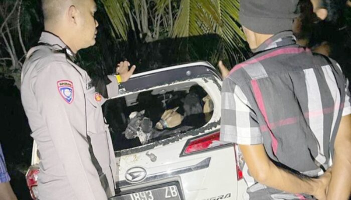 Kepergok, Tiga Maling Tinggalkan Seekor Sapi Dan Enam Kambing