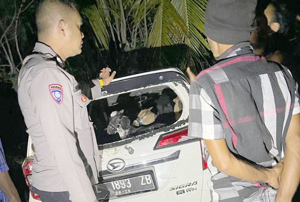 Polisi amankan satu unit mobil Daihatsu Sigra yang mengangkut hewan ternak hasil curian. Dalam peristiwa ini pelaku berhasil kabur, Selasa (22/8) Waspada/Muhammad Riza