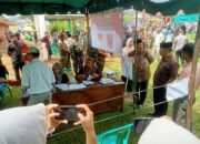 16 Pilkades Di Sidimpuan Tenggara, 2 Petahana Kalah