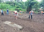 Rutan Tarutung Bina Kemandirian WBP Melalui Bercocok Tanam
