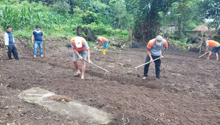 Rutan Tarutung Bina Kemandirian WBP Melalui Bercocok Tanam