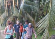 Jangan Hanya Rakyat Kecil, Pelaku Konversi Hutan Mangrove Juga Harus Disikat