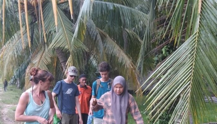 Jangan Hanya Rakyat Kecil, Pelaku Konversi Hutan Mangrove Juga Harus Disikat