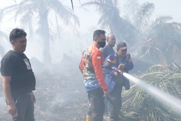 19 Ha Lahan Sawit Di Asahan Terbakar