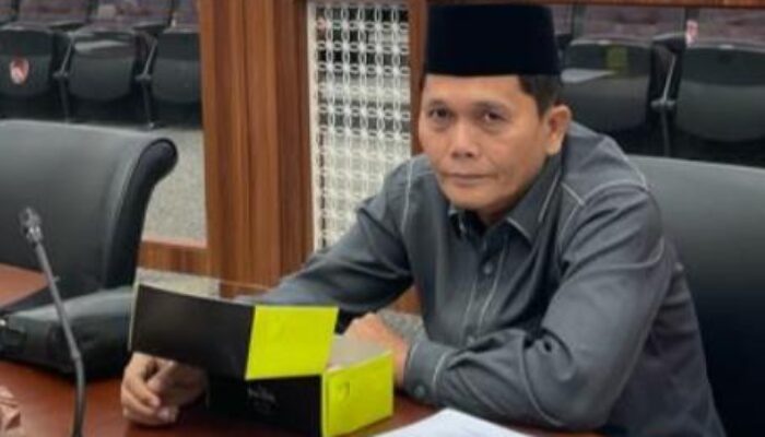 Anggota DPRD Sumut Poaradda Nababan Desak Menkes Keluarkan PP UUK