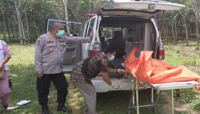 Karyawan Temukan Mayat Wanita Tanpa Busana Di Areal Kebun PT. Bridgestone