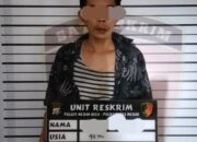 Polsek Medan Area Ringkus Pelaku Curanmor