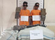 Polisi Gagalkan Peredaran 133 Kg Ganja Di Medan