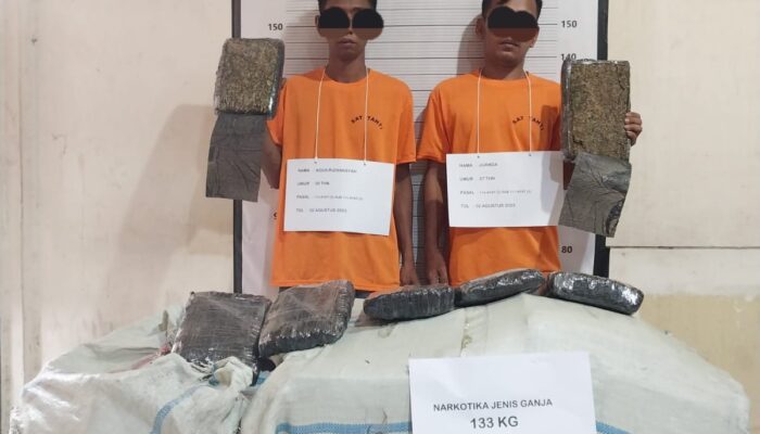 Polisi Gagalkan Peredaran 133 Kg Ganja Di Medan