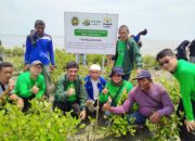 IKA USU Gelar Program Tanam “Mangrove Merdeka” Di Dusun Tanjung Beringin