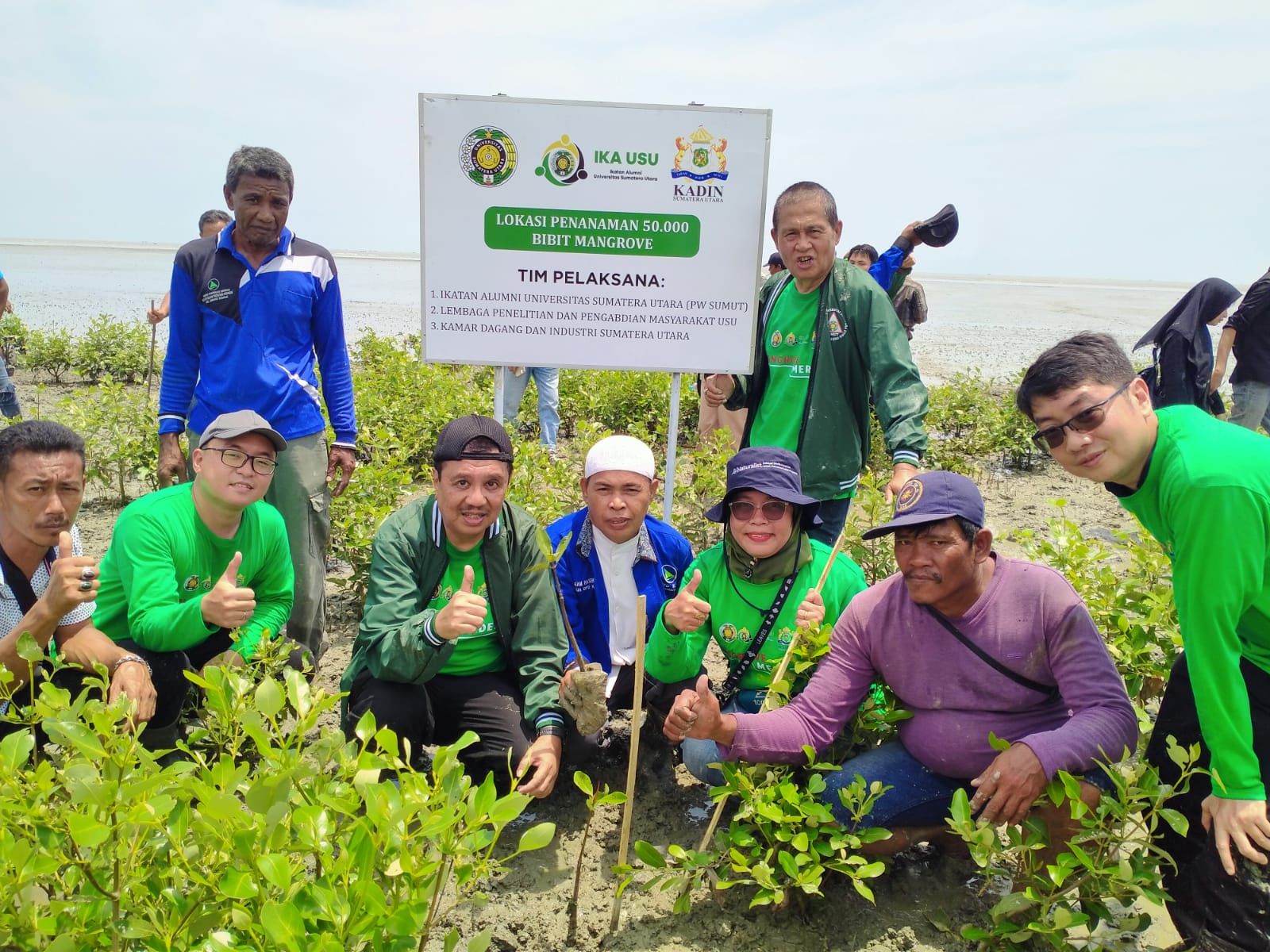 Ikatan Keluarga Alumni (IKA) Universitas Sumatera Utara (USU) bekerjasama dengan LPPM USU, PUI Mangrove dan Kamar Dagang Industri (Kadin) Sumut melaksanakan program Tanam Mangrove Merdeka, di Dusun Tanjung Beringin, Desa Bagan Kuala, Kecamatan Tanjung Beringin, Kabupaten Serdang Bedagai (Sergai), Minggu (3/9). Waspada/ist