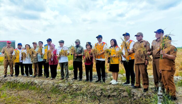 Komite II DPD RI Tinjau Program Food Estate Di Kalteg