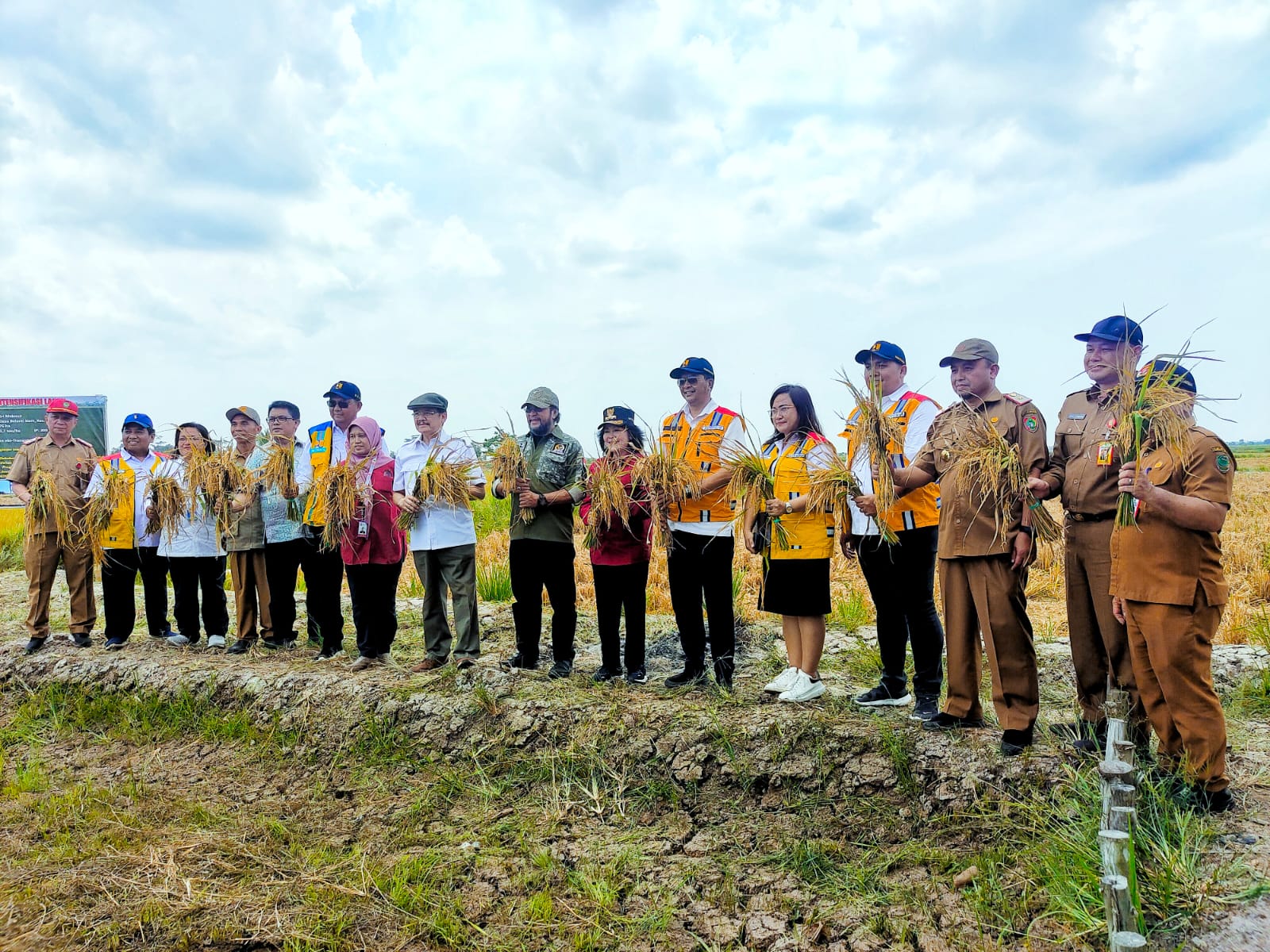 Komite II DPD RI Tinjau Program Food Estate Di Kalteg