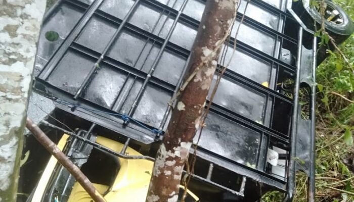 Jalan Multiyears Kembali Ambil Korban, Truk Terperosok Masuk Jurang