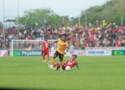 Laga Tandang Perdana Traktor Kuning Kandas Ditanduk Kabau Sira