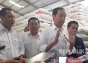 Antisipasi Penurunan Cadangan, Pemerintah Impor Beras 250 Ribu Ton