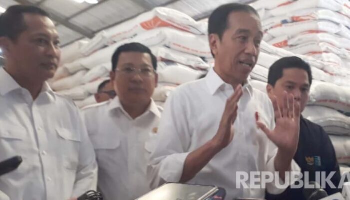 Antisipasi Penurunan Cadangan, Pemerintah Impor Beras 250 Ribu Ton