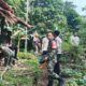 PLN melalui UPP SBU3 akhirnya berhasil membersihkan seluruh tanaman warga di bawah jalur T/L 70 kV Gunung Sitoli-Teluk Dalam usai proses mediasi permasalahan sosial yang difasilitasi Kejaksaan Negeri Nias Selatan, Kamis (7/9/2023).