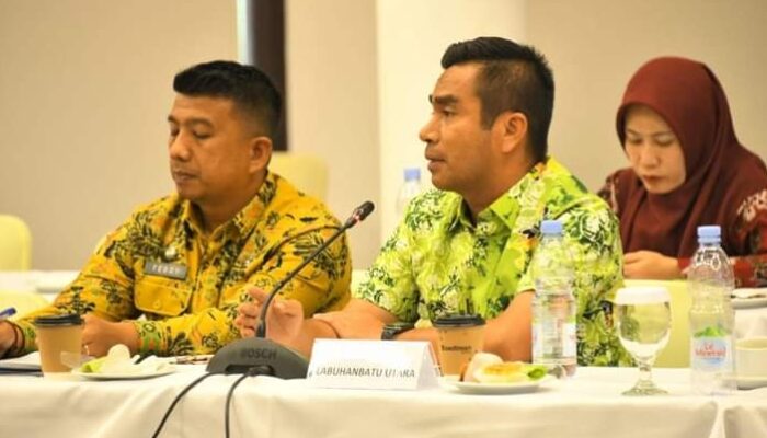 Wabup Labura Hadiri High Level Meeting TP2DD
