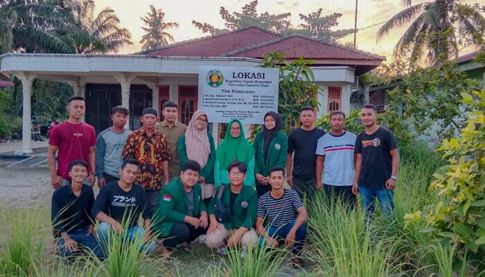 USU Pelatihan Budi Daya Lele Bagi Pemuda Sidodadi, Kisaran