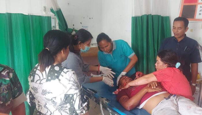 Ribut Masalah Pohon, Elvis Tewas Dibacok