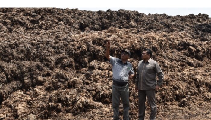 DPRD Labura “Hadiahi” PT. MASJ Dengan 9 Butir Rekomendasi