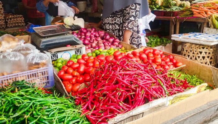 Harga Cabai Merah Meroket Naik