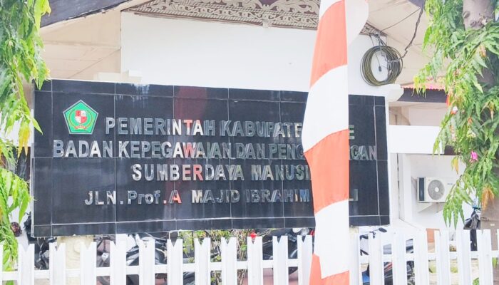 Pidie Buka Pendaftaran Calon PPPK