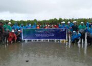 PT PLB Tanam 40.900 Mangrove Di Pantai Aceh Singkil