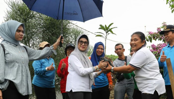 Wali Kota P. Siantar Beserta Jajaran Gotroy Jumpa Lisa Pil