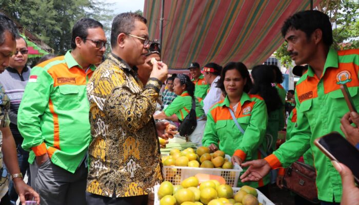 Bupati Toba Ajak Petani Beralih Ke Pupuk Organik