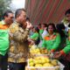 Bupati Toba Ajak Petani Beralih Ke Pupuk Organik