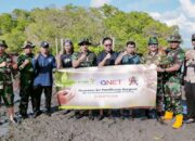 QNET & Kodim 1611 Badung Lanjutkan Pelestarian Mangrove Di Bali