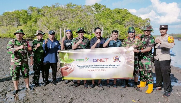 QNET & Kodim 1611 Badung Lanjutkan Pelestarian Mangrove Di Bali