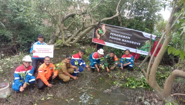 Pertagas ONSA Menanam 500 Pohon Mangrove