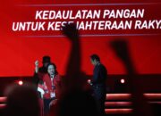 Ini Pesan Politik Mega Saat Buka Rakernas IV PDIP