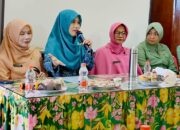 Pj Ketua TP PKK Kunjungi Puskesmas Pidie