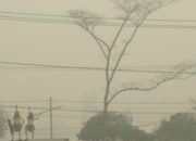 Asap Karhutla Tunda Enam Penerbangan