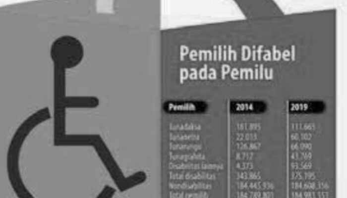 Pemilu Inklusif Bagi Disabilitas