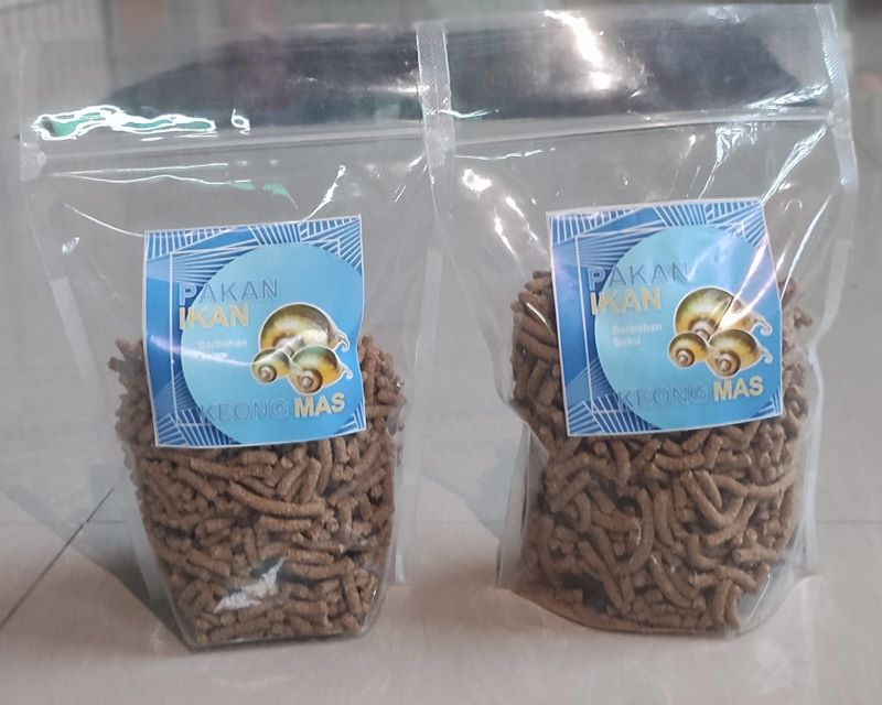 Tim PKM Unsam Manfaatkan Keong Emas Sebagai Pakan Ikan Tim PKM Unsam Manfaatkan Keong Emas Sebagai Pakan Ikan