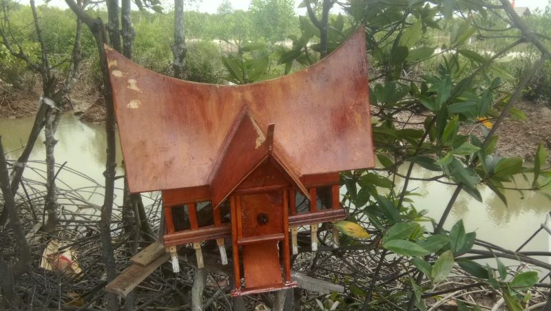 Jaga Ekosistem Pesisir, USU Bersama Komunitas Internasional Tanam Mangrove Jaga Ekosistem Pesisir, USU Bersama Komunitas Internasional Tanam Mangrove