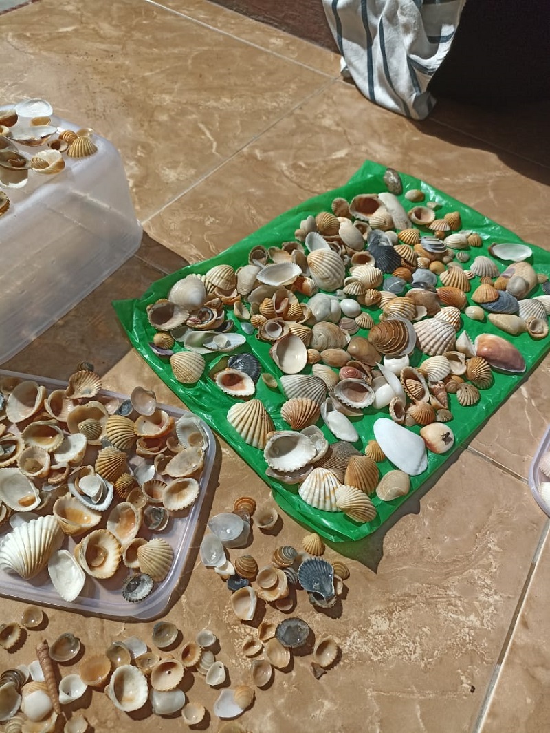 Warga Matang Rayeuk Dilatih Pembuatan Cenderamata Berbahan Bivalvia Warga Matang Rayeuk Dilatih Pembuatan Cenderamata Berbahan Bivalvia