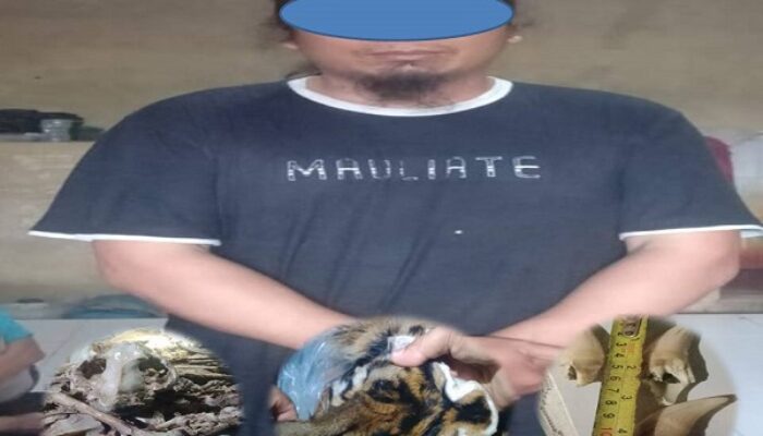 Polisi Tangkap Pelaku Perdagangan Satwa Dilindungi