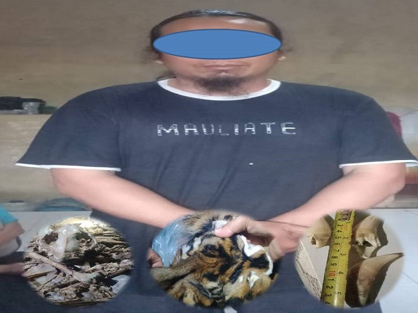 Pelaku perdagangan satwa dilindungi saat berada di Mapolres Agara. Waspada/Ist