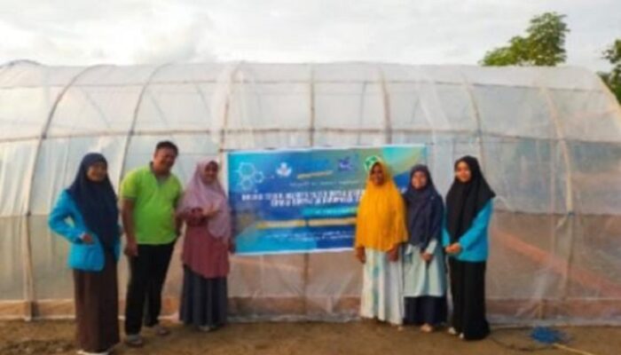 Inovasi Tingkatkan Produksi Petani Garam Di Desa Kuala Idi Cut
