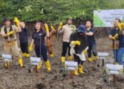 FIF Group Tanam Mangrove Hijaukan Bumi