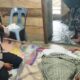 Polisi melayat ke rumah duka Muhammad Aziz, korban kecelakaan di Matang Neuheun, Nurussalam, Aceh Timur, Selasa (5/9). Waspada/Muhammad Ishak