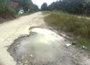 Kerusakan Jalan Di Besitang Tak Pernah Diperhatikan